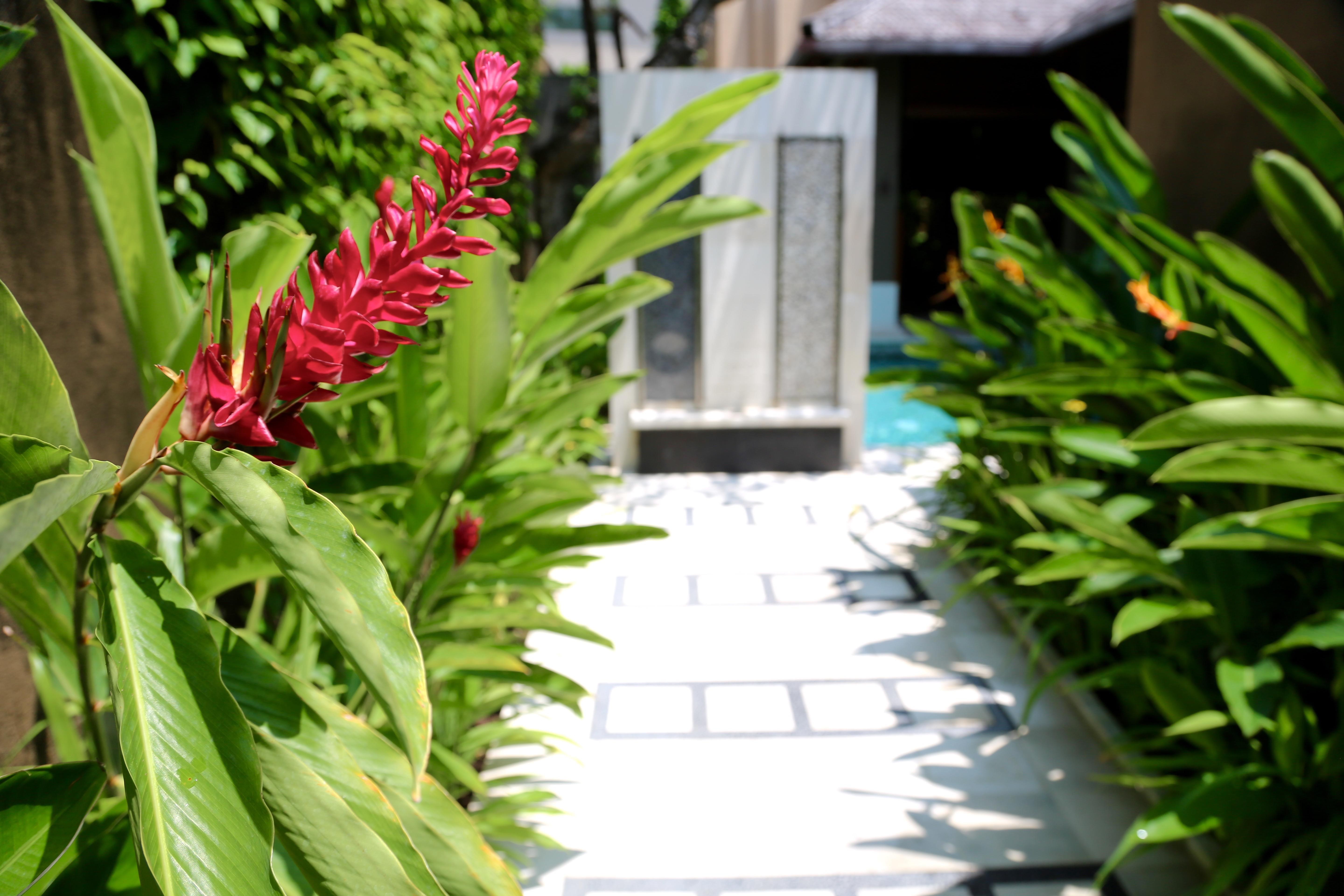 Ahimsa Beach Jimbaran  Exterior photo